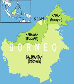Experts: Borneo in Urgent Need of Protection