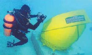 Dive in for Pulau Bidong`s `Treasures`
