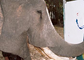 Elephant Art
