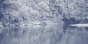 Protecting Brunei`s river heritage