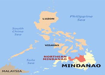 Referendum to determine political status of Muslims sought