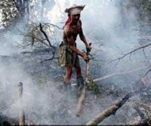 S`pore contributing S$1m to help tackle haze in Jambi, Indonesia
