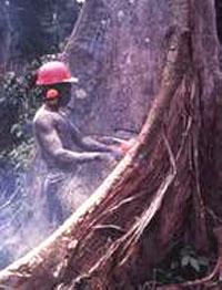 People Should Not Be Greedy In Exploiting Natural Resources