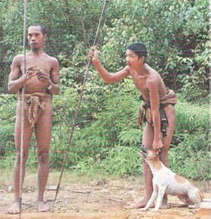 Bedah Buku `Sokola Rimba` Butet Manurung di Jambi