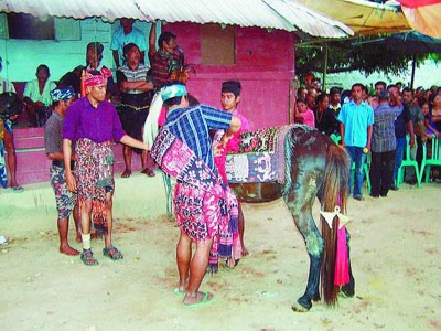Adat Sumba yang Membebani, tetapi Menyenangkan