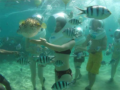 Foreign photographers take part in underwater photo competition
