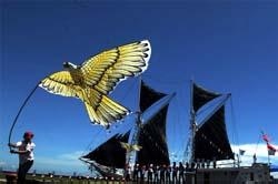 Eight Countries Participate in Int`l Kite Festival in SE Sulawesi