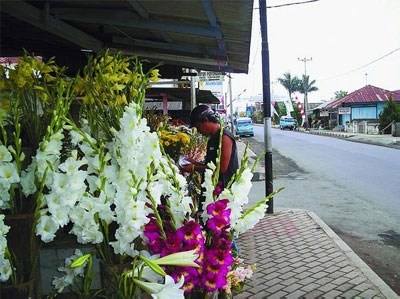 Sumbawa Barat Gelar Festival Bunga