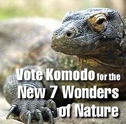 Tujuh Keajaiban Dunia: Posisi Komodo Semakin Kuat