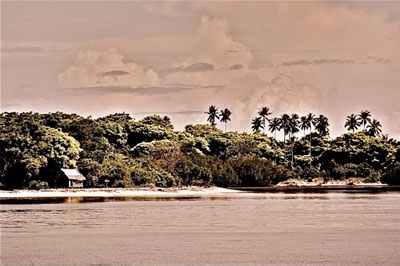 Film Dokumenter Teluk Tomini Laris di India