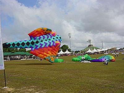Batam Bisa Selenggarakan Festival Layang-layang Dunia