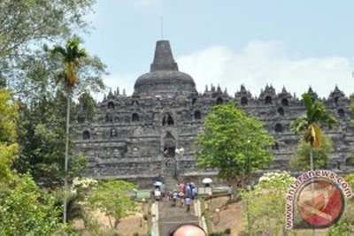 Duta UNESCO Tanam Pohon di Borobudur