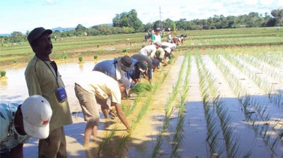 "Mappataneng" Tradisi yang Tak Tergusur Zaman