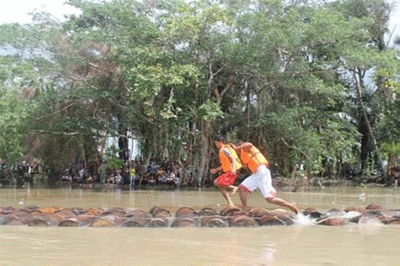 Lari Tual Sagu Diusulkan Jadi Cagar Budaya Nasional
