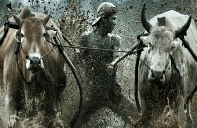 Menikmati Ragam Budaya dan Pacu Jawi di Pagaruyung Fair 2015