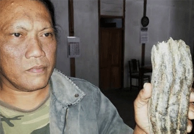 413 Benda Cagar Budaya Ditemukan di Gunungkidul