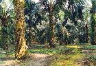 Masyarakat Adat, Lebih 400 Konflik Hutan Ulayat