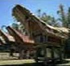 Wakatobi District Head Promotes Sulawesi Tourism in Europe