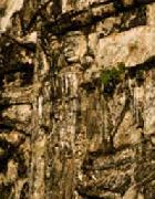 In Remembrance Of Bravery