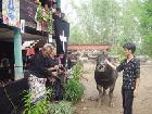 KB dengan Pendekatan Budaya Toraja