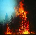 Malaysia, Indonesia to Cooperate in Tackling Haze