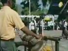 Keturunan Raja Menggelar Ritual Martonggo