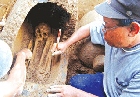 Bali Archeologists Discover Another Sarcophagus
