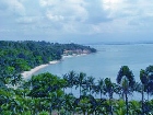 60 Hectares Of Conservation Areas In Batam Threatened