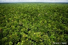 Indonesia Bidding for $30m Funding From Unesco For Biosphere Reserves