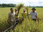 3 Kecamatan di HST Kalsel Terima Penghargaan Mendagri