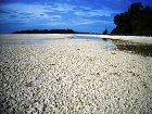 LIPI to be supported in Lucipara islands conservation program