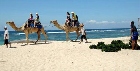 Bali, The Best Leisure Destination in Asia Pasific
