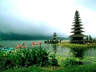 Foreign Tourists to Bali Seeking Composure