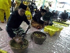 Ritual Pembersihan Pusaka Kerajaan Mempawah