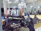 Transformasi Sosial Budaya Menuju Kebangkitan Nasional Kedua