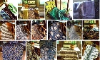 Presiden Minta Batik Indonesia Khas dan Berkarakter