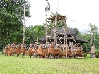 Pekan Budaya Papua Kamoro Digelar