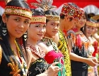 Tradisi Melestarikan Alam, Pesta Rumah Panjang