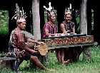 Pesta Seni dan Budaya Dayak Kalimantan di Yogya