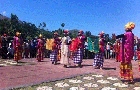 Semarak Tradisi Indonesia Tengah di Parade Budaya HUT Sumbawa Barat